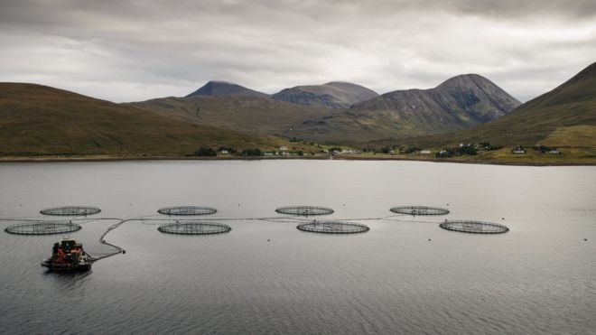 Black Mountains Smokery Sustainable Salmon 